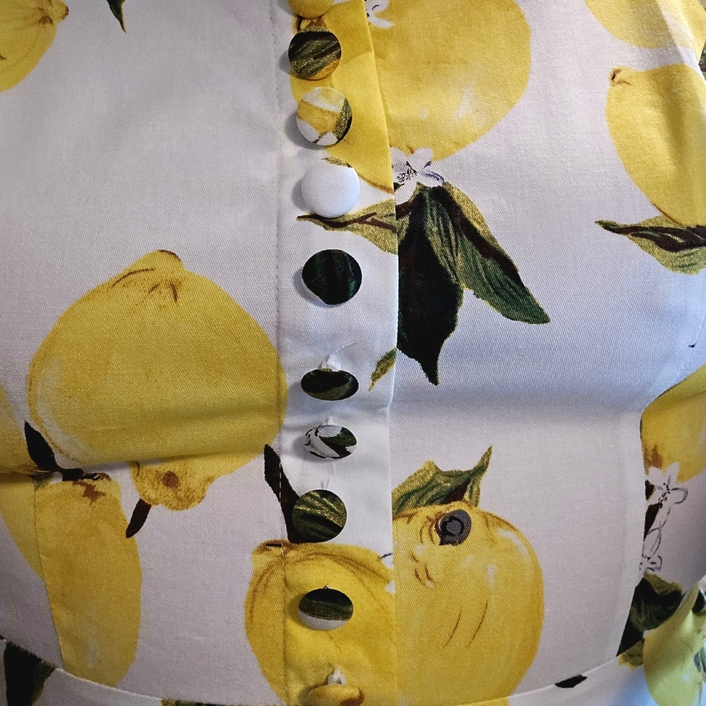 Belle Poque Retro Vintage Fit & Flare Lemon Print Dress Size L - Picture 5 of 12